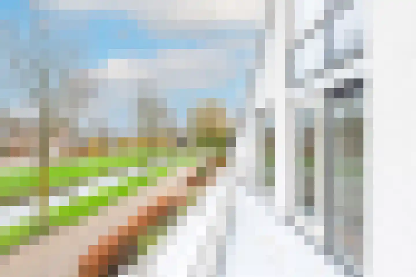 Kwikstaart 4 Obdam thumbnail 71