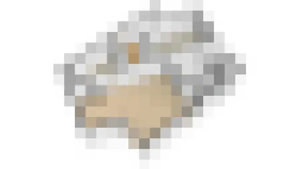 Kwikstaart 4 Obdam thumbnail 78