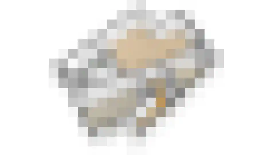 Kwikstaart 4 Obdam thumbnail 79