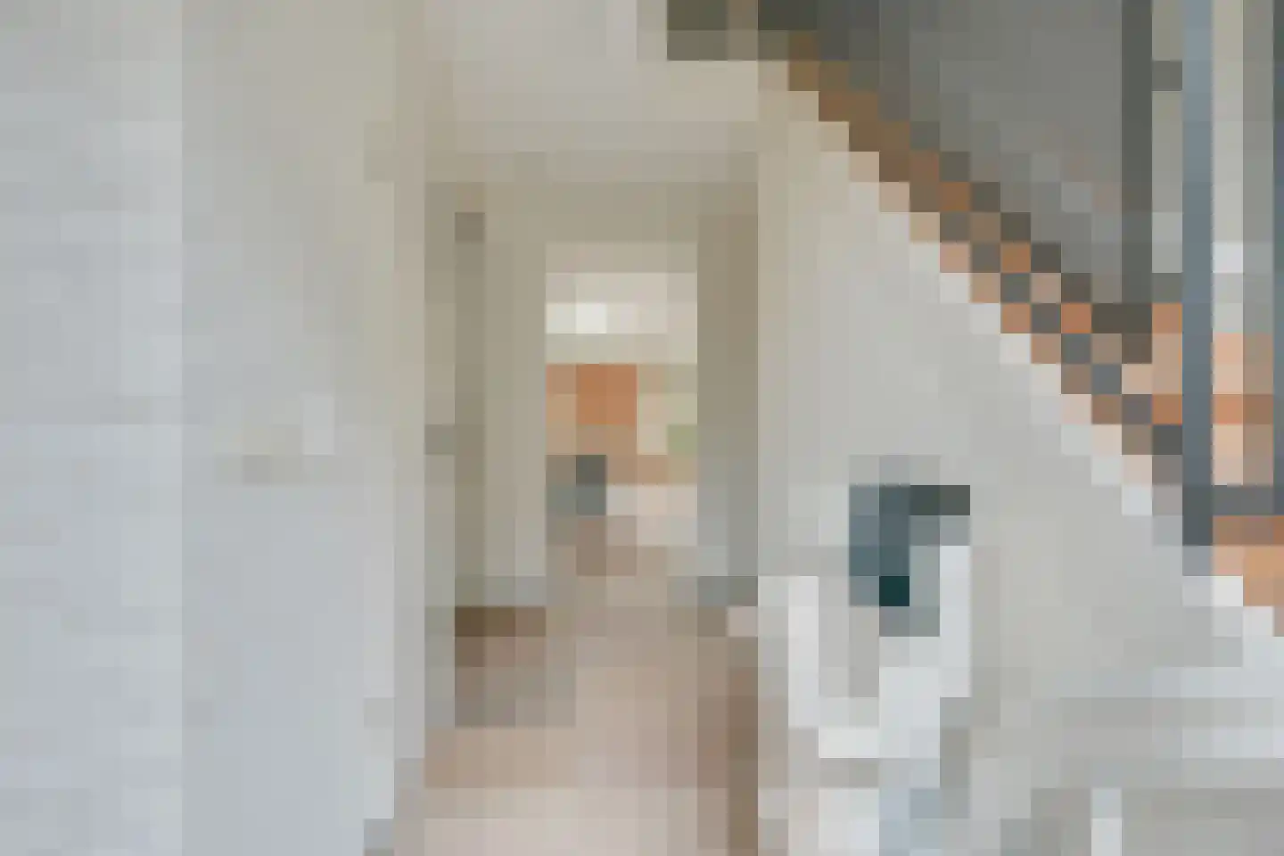 Kwikstaart 4 Obdam thumbnail 8