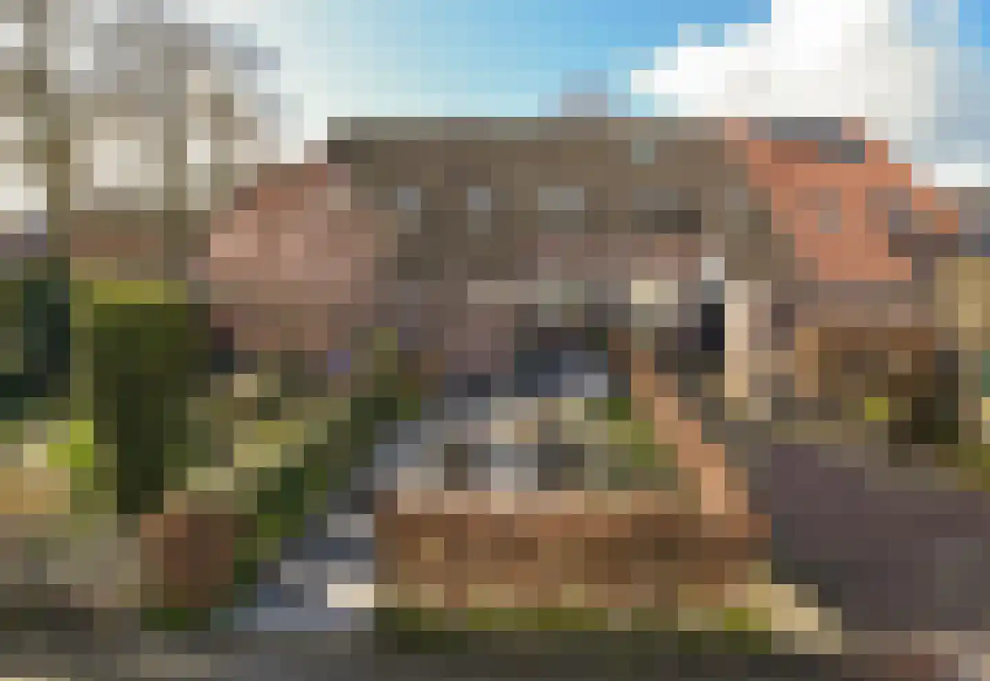 Kwikstaart 40 in Mijdrecht