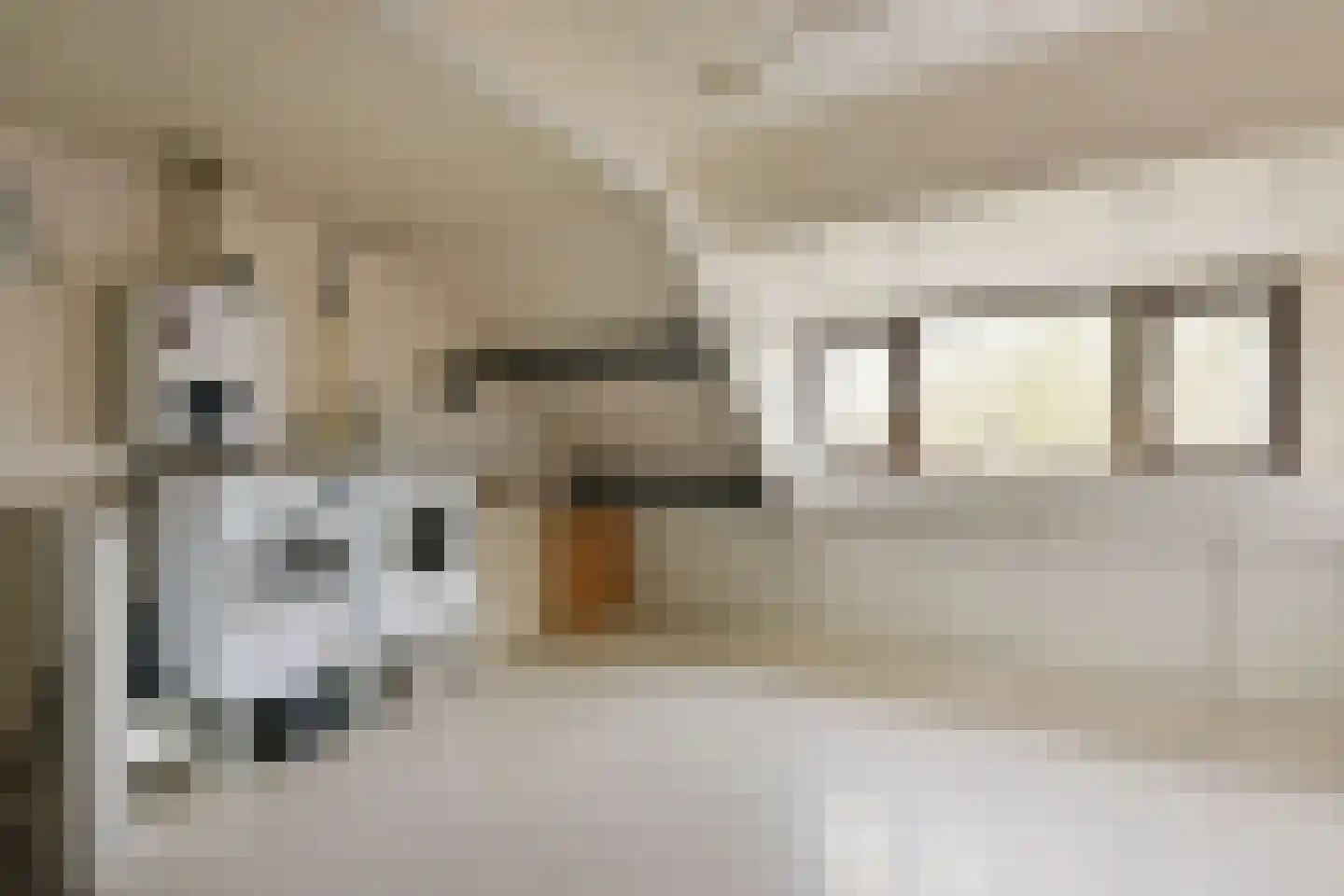 Kwikstaart 40 Mijdrecht thumbnail 21