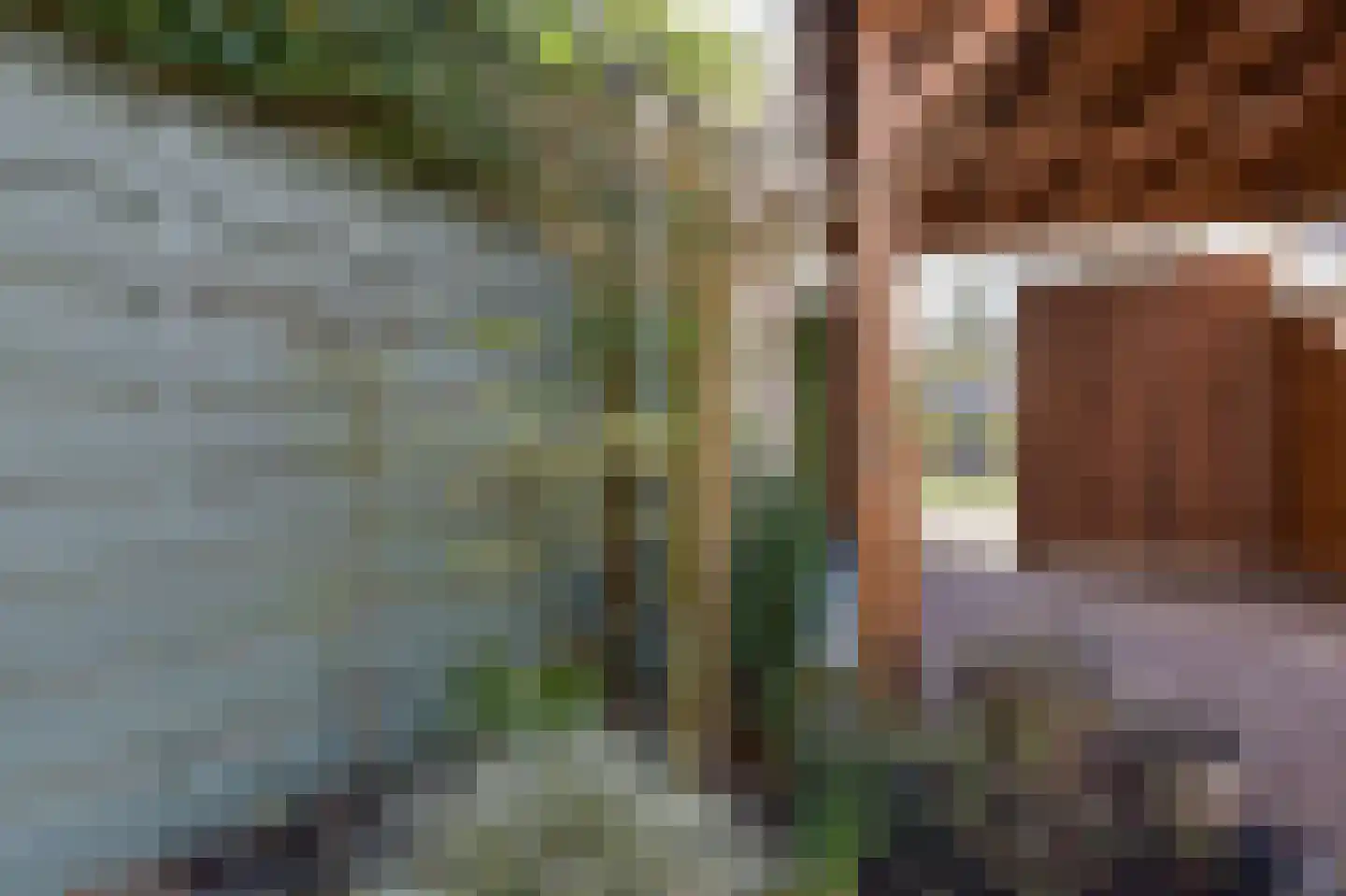 Kwikstaart 40 Mijdrecht thumbnail 27