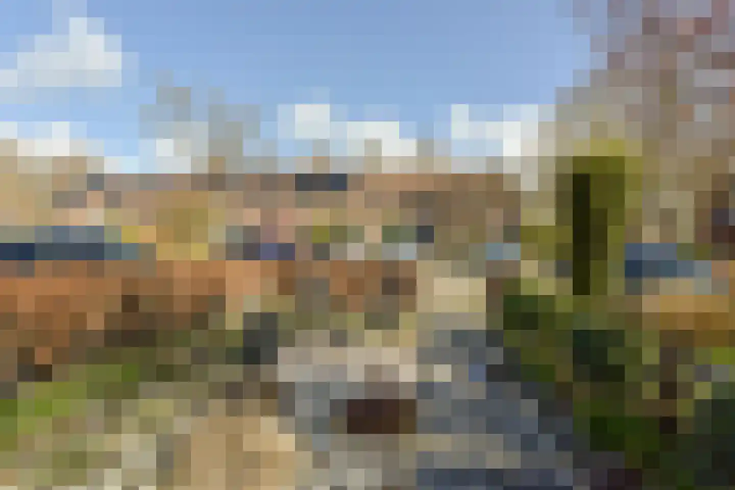 Kwikstaart 40 Mijdrecht thumbnail 30