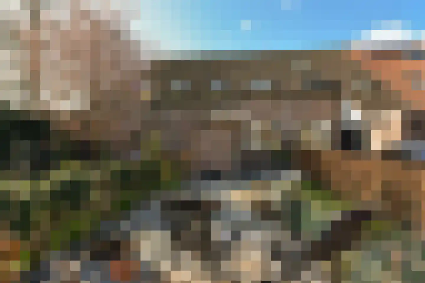 Kwikstaart 40 Mijdrecht thumbnail 5