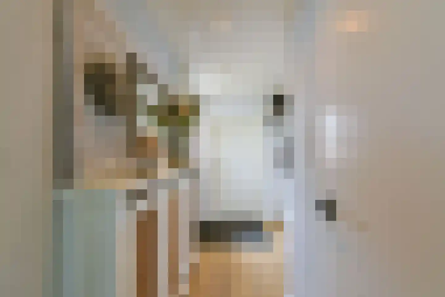 Kwikstaart 40 Mijdrecht thumbnail 6