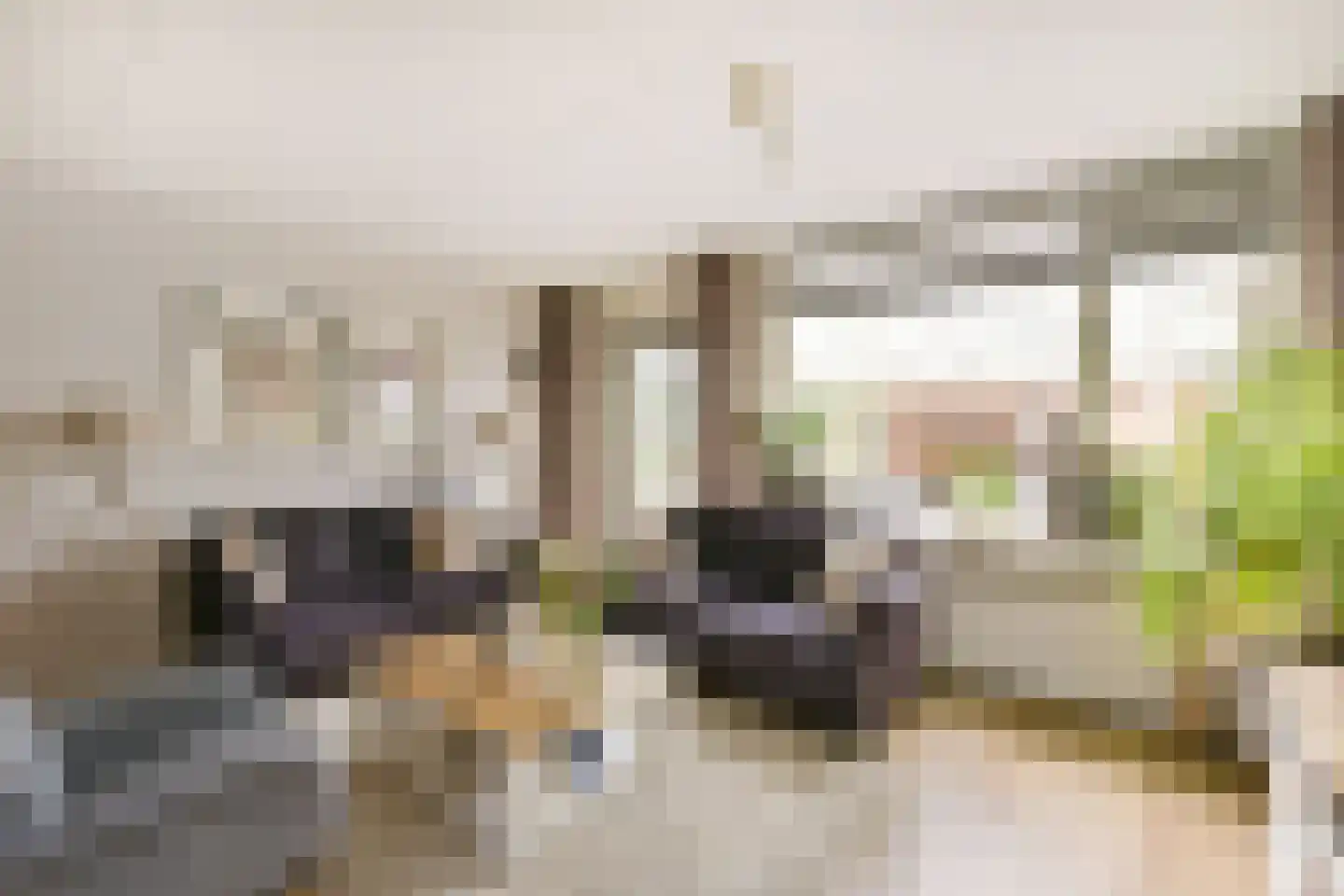 Kwikstaart 40 Mijdrecht thumbnail 8