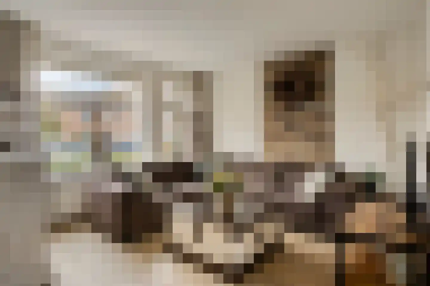 Kwikstaart 47 Etten-Leur thumbnail 10