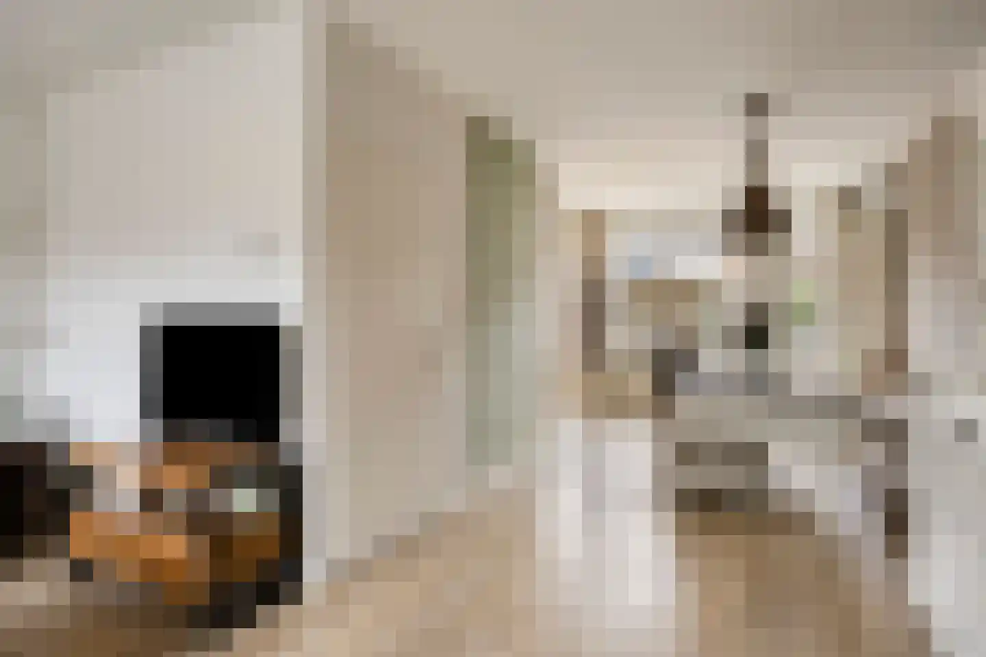 Kwikstaart 47 Etten-Leur thumbnail 12