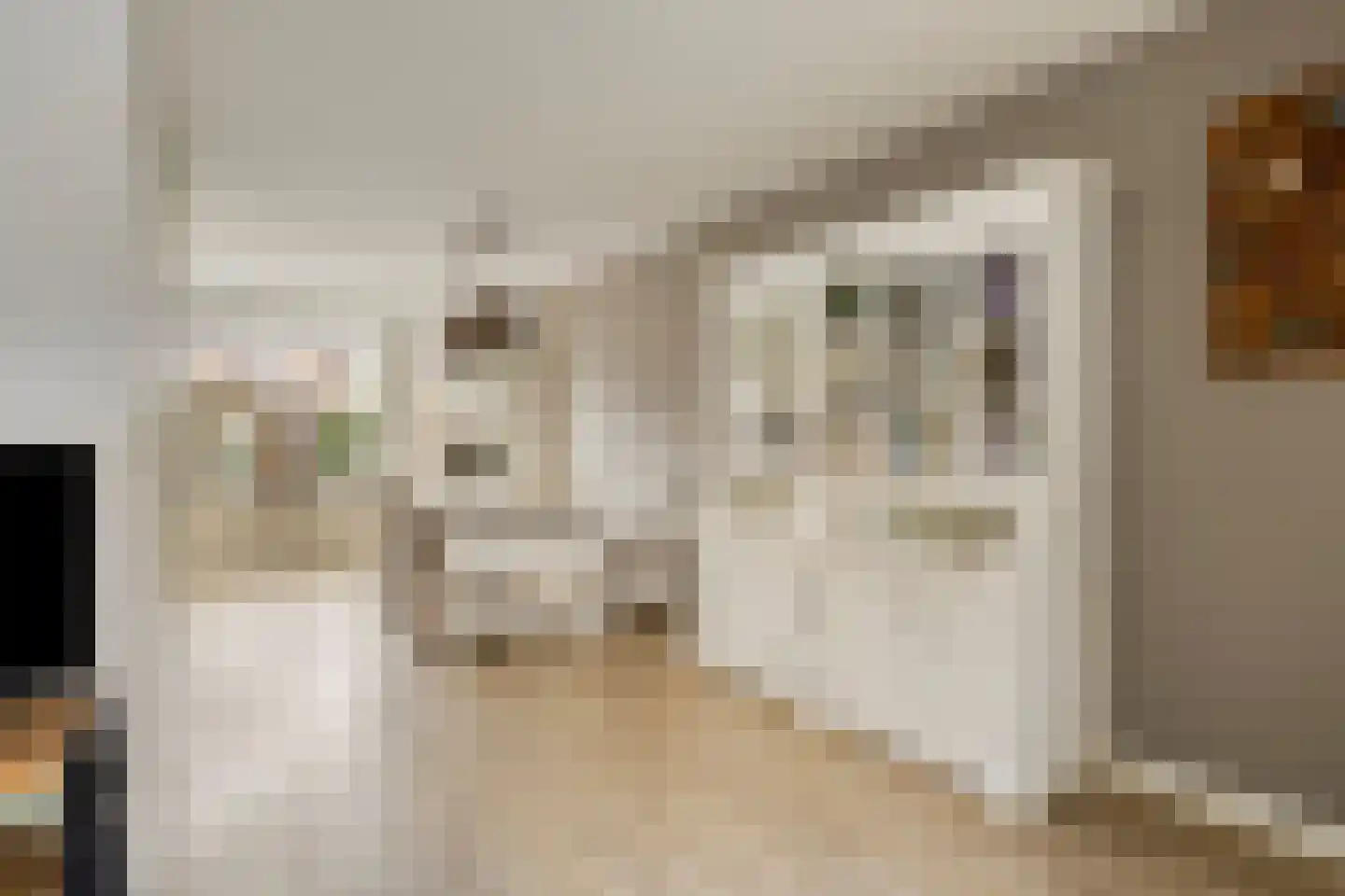 Kwikstaart 47 Etten-Leur foto 3