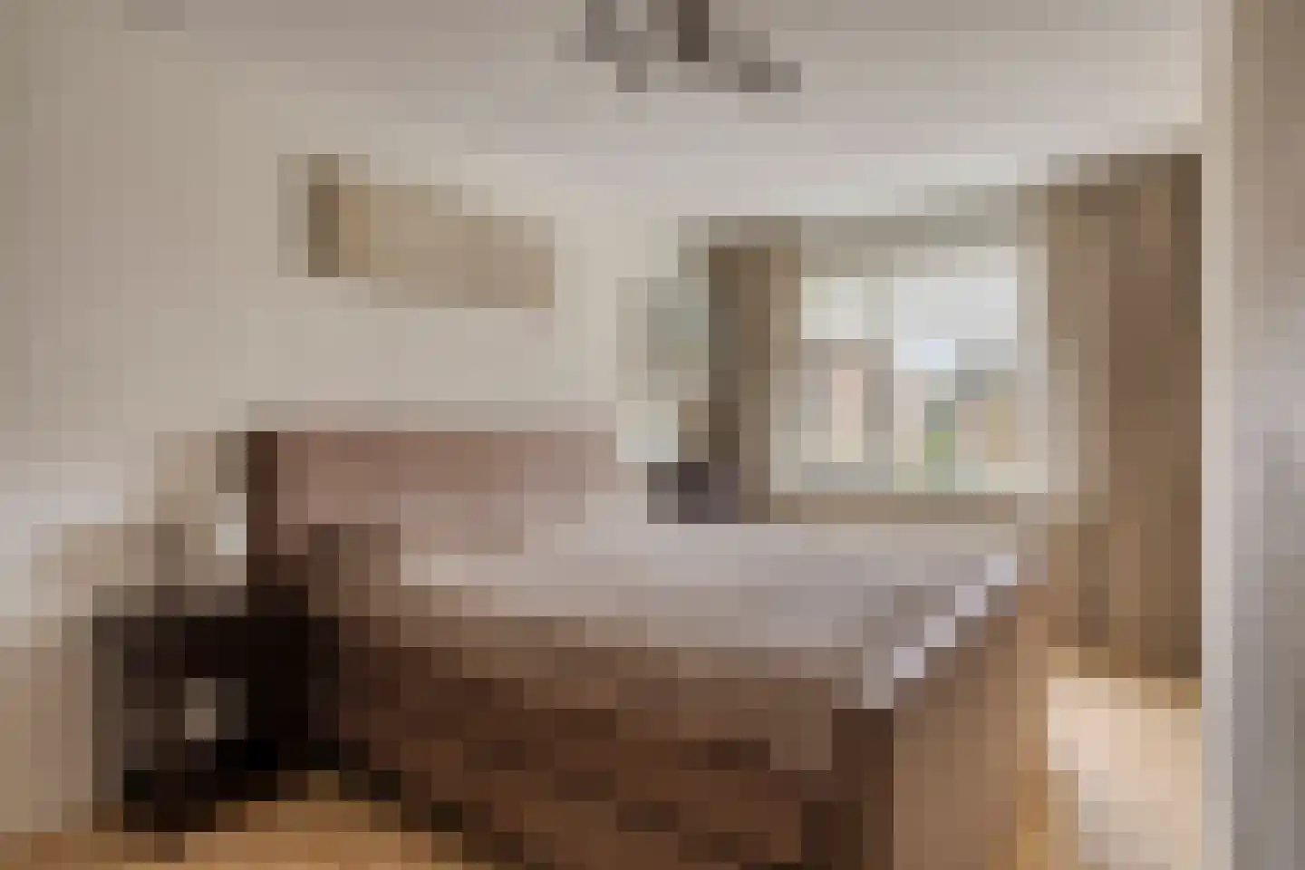 Kwikstaart 47 Etten-Leur thumbnail 4