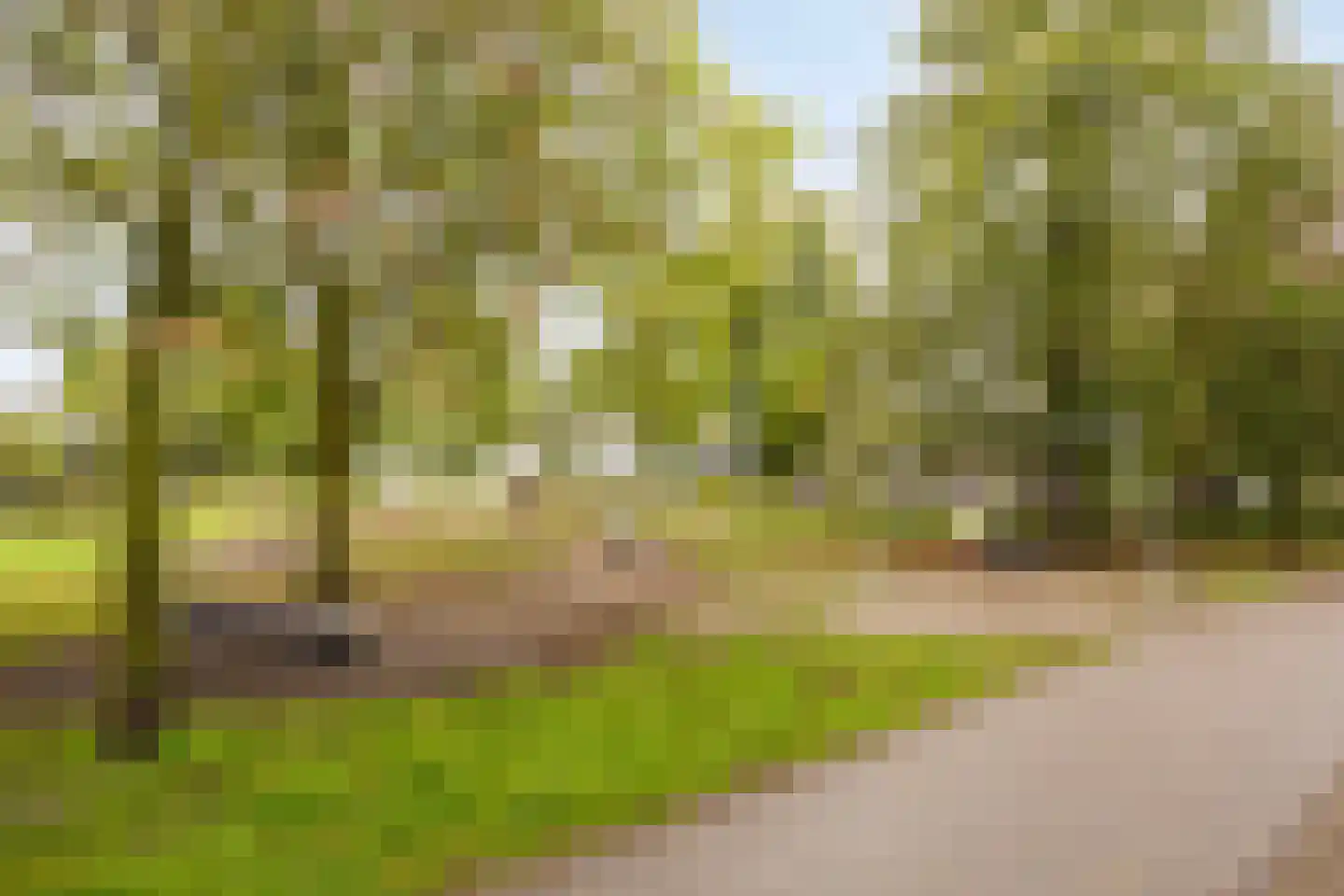 Kwikstaart 47 Etten-Leur thumbnail 41