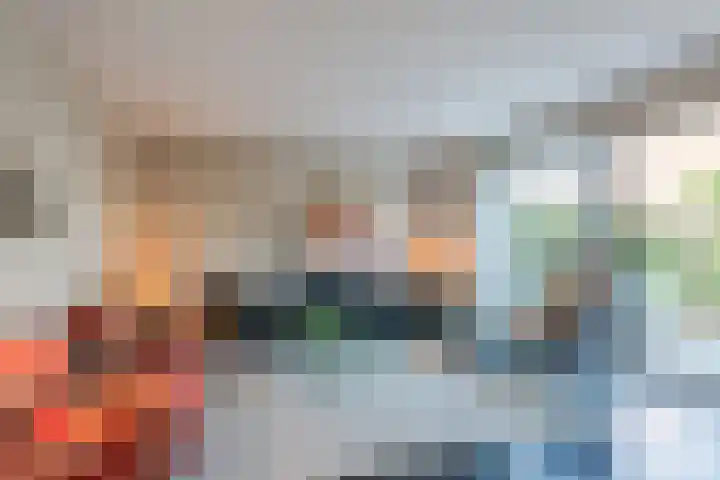 Kwikstaart 5 Bodegraven thumbnail 11