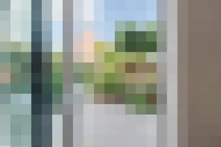 Kwikstaart 5 Bodegraven thumbnail 12