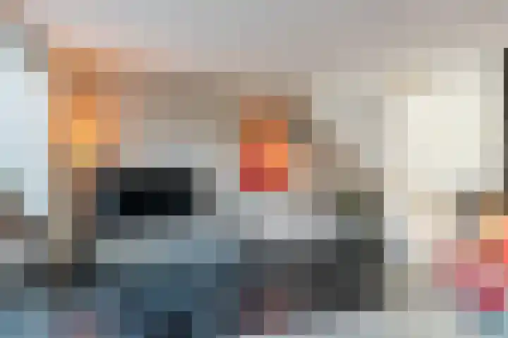 Kwikstaart 5 Bodegraven thumbnail 14
