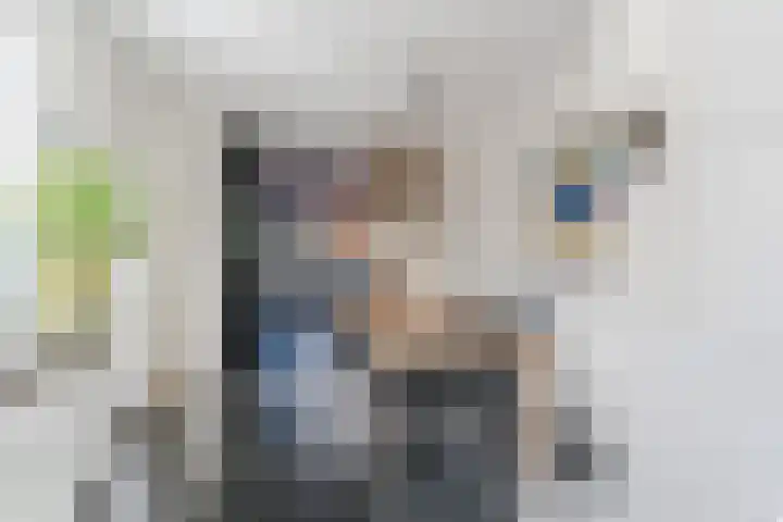 Kwikstaart 5 Bodegraven thumbnail 15