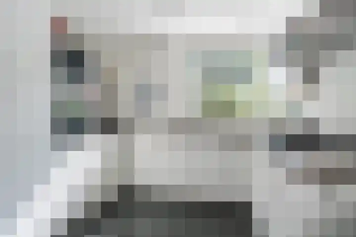 Kwikstaart 5 Bodegraven thumbnail 16