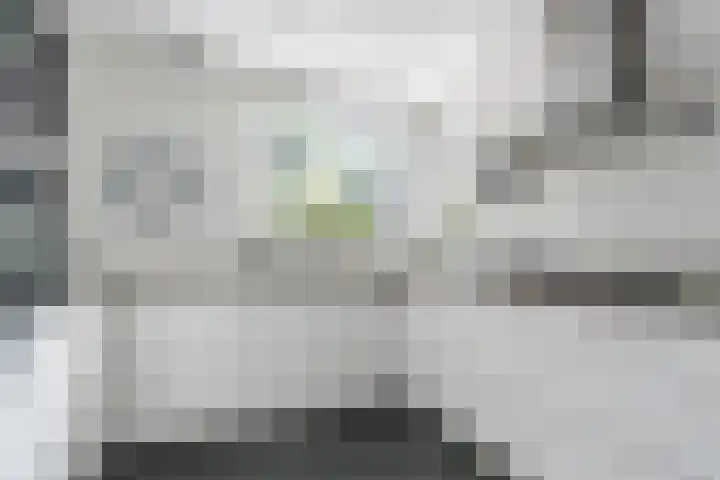Kwikstaart 5 Bodegraven thumbnail 17