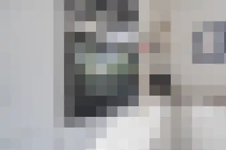 Kwikstaart 5 Bodegraven thumbnail 18