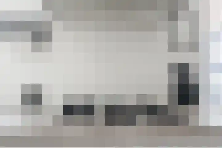 Kwikstaart 5 Bodegraven thumbnail 19
