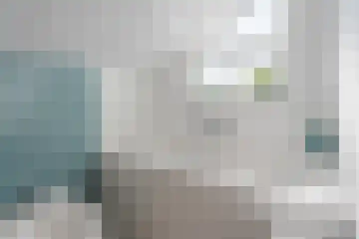 Kwikstaart 5 Bodegraven thumbnail 25
