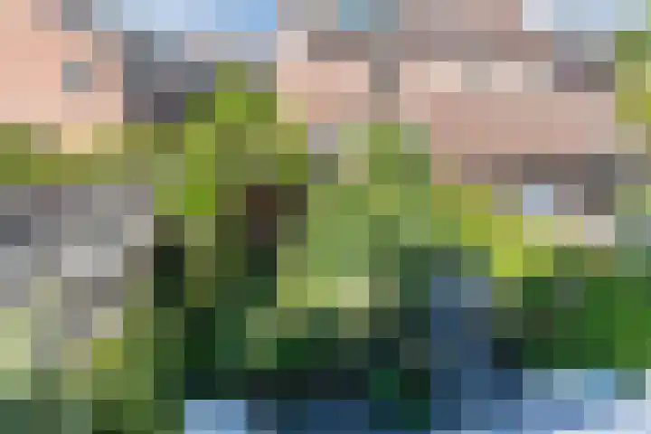 Kwikstaart 5 Bodegraven thumbnail 30