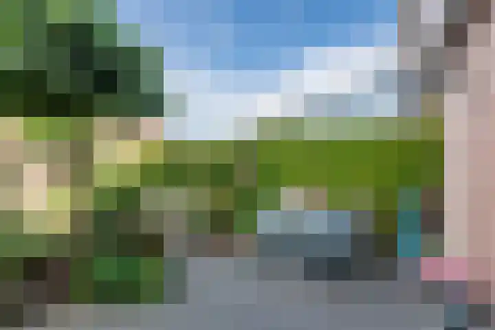Kwikstaart 5 Bodegraven thumbnail 32