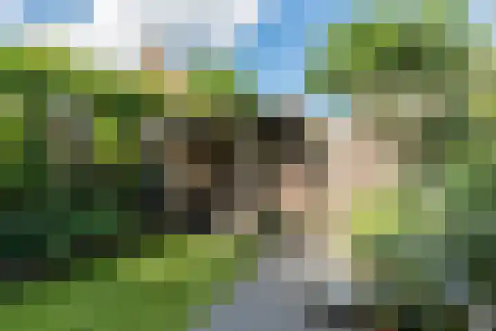 Kwikstaart 5 Bodegraven thumbnail 33