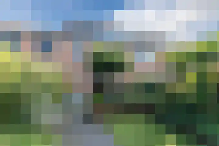 Kwikstaart 5 Bodegraven thumbnail 34