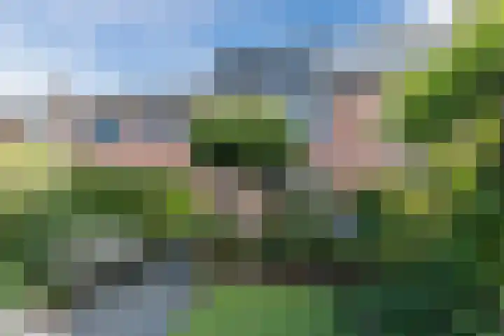 Kwikstaart 5 Bodegraven thumbnail 35