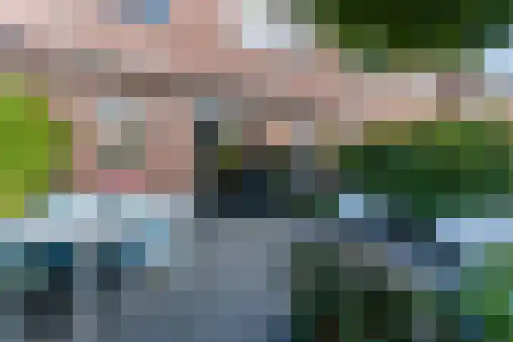 Kwikstaart 5 Bodegraven thumbnail 36