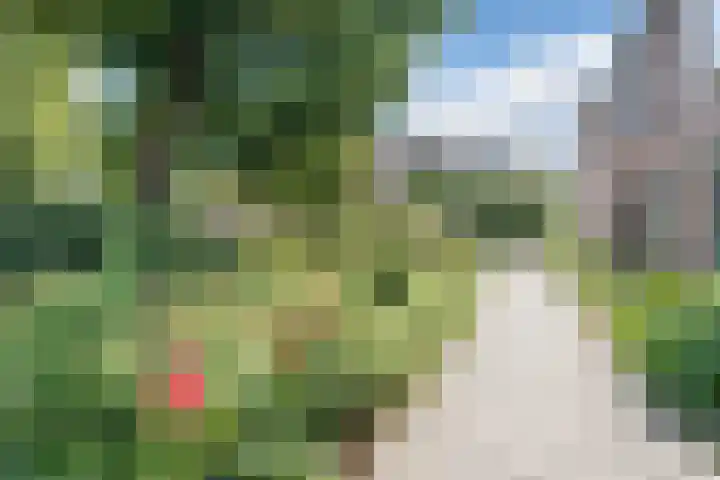 Kwikstaart 5 Bodegraven thumbnail 37