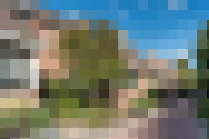 Kwikstaart 5 Bodegraven thumbnail 38