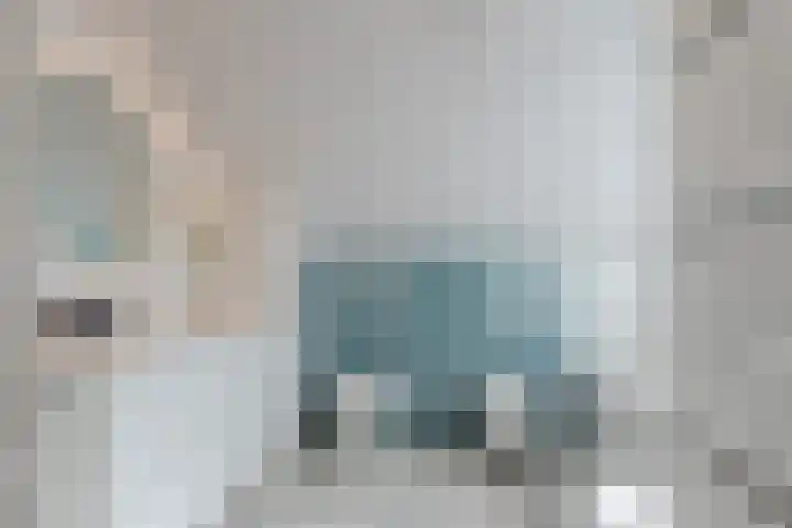 Kwikstaart 5 Bodegraven thumbnail 4