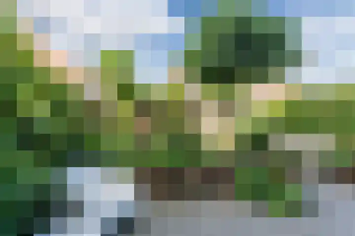 Kwikstaart 5 Bodegraven thumbnail 6