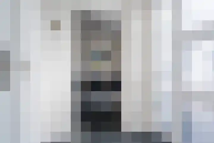 Kwikstaart 5 Bodegraven thumbnail 8