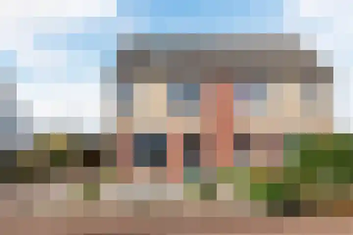 Kwikstaart 6 Siddeburen