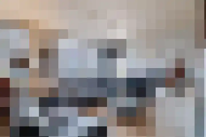 Kwikstaart 6 Siddeburen thumbnail 10