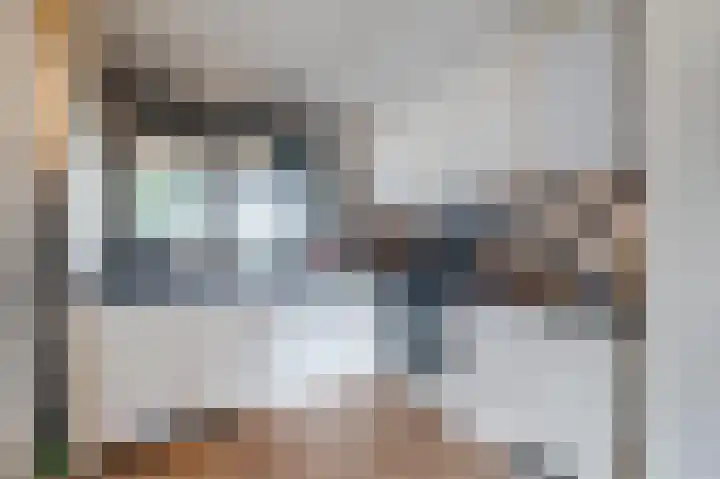 Kwikstaart 6 Siddeburen thumbnail 13