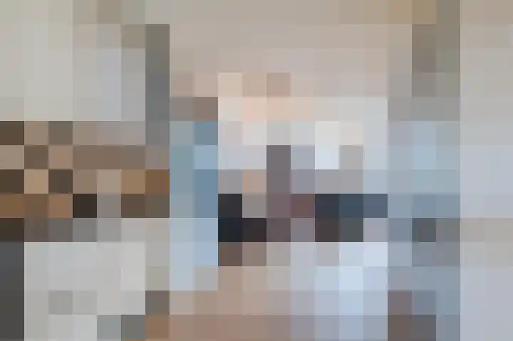 Kwikstaart 6 Siddeburen thumbnail 15