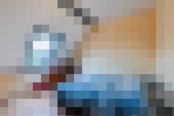 Kwikstaart 6 Siddeburen thumbnail 16