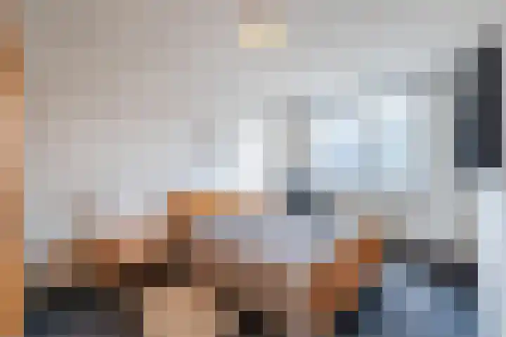 Kwikstaart 6 Siddeburen thumbnail 18