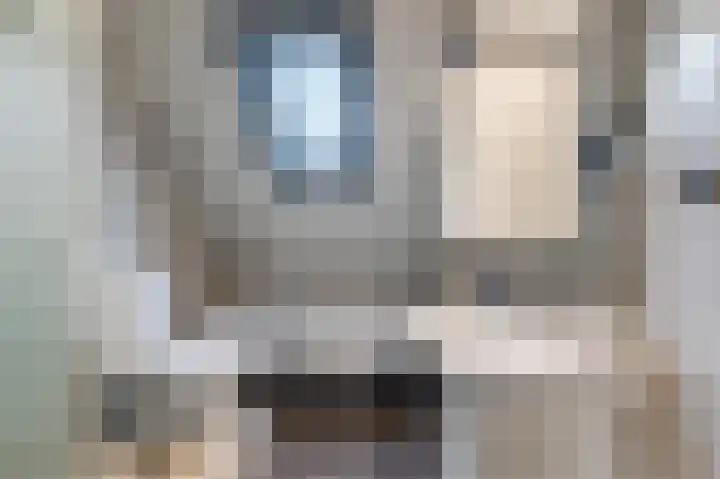 Kwikstaart 6 Siddeburen thumbnail 22