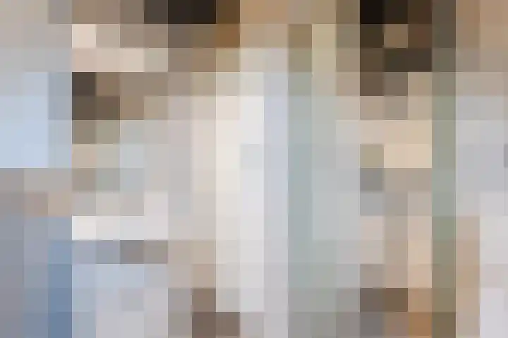 Kwikstaart 6 Siddeburen thumbnail 25