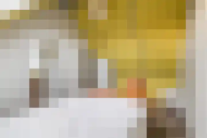 Kwikstaart 6 Siddeburen thumbnail 27
