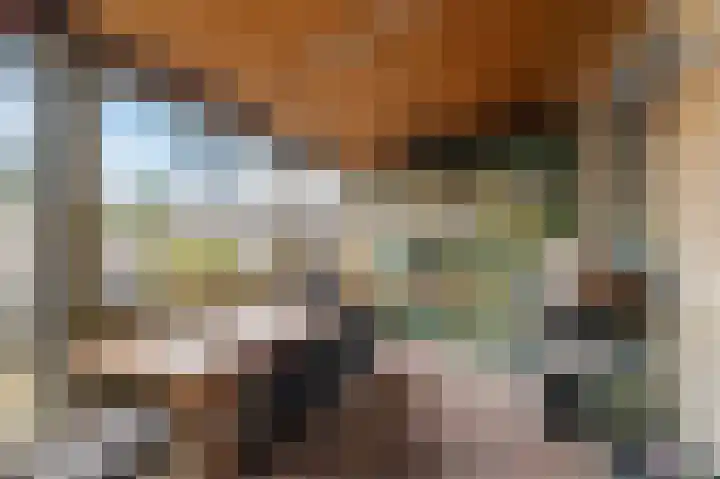 Kwikstaart 6 Siddeburen thumbnail 28