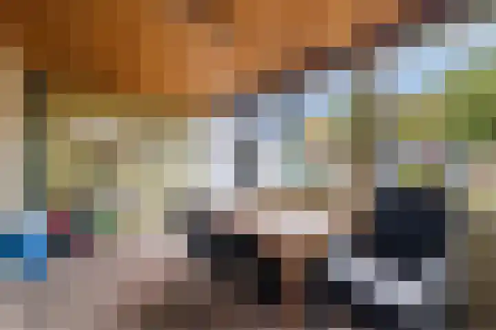 Kwikstaart 6 Siddeburen thumbnail 29