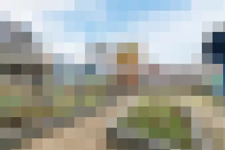 Kwikstaart 6 Siddeburen thumbnail 30