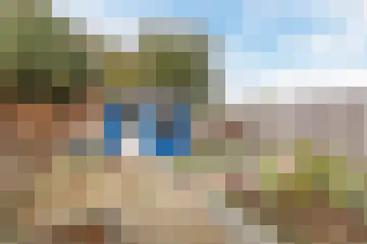 Kwikstaart 6 Siddeburen thumbnail 31