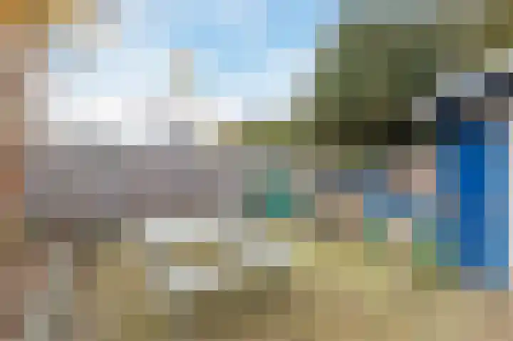 Kwikstaart 6 Siddeburen thumbnail 32
